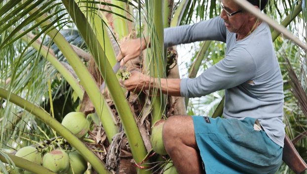 Samut Songkhram Province: the Trail of Coconut Orchards and Sea Salt Fields – Full-Day Tour - Foto 2